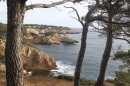sentier du littoral, près du Resquilladou